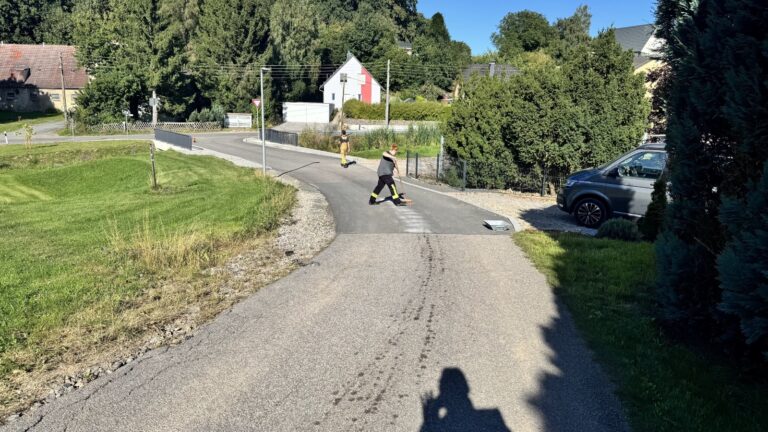 whatsapp image 2025 12 26 at 16.17.48