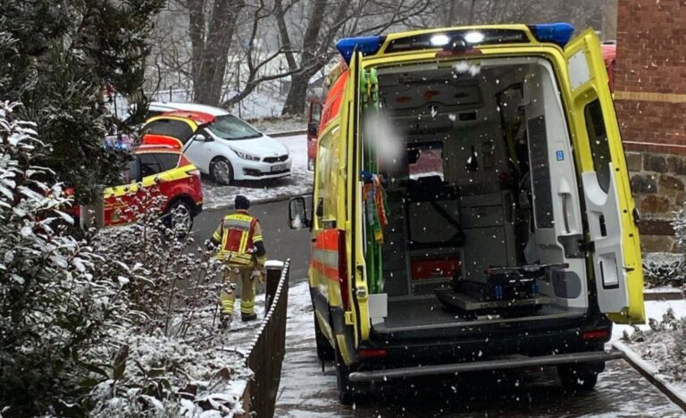 whatsapp image 2026 02 20 at 12.53.56