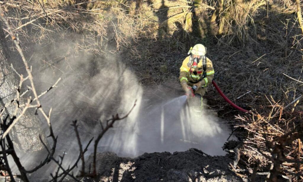 whatsapp image 2026 02 20 at 13.00.12